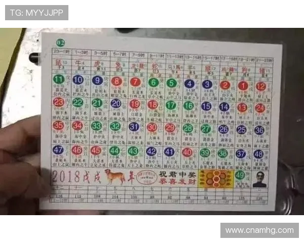 专业分析六合彩官网下载技巧，帮助玩家提升中奖几率的实用攻略