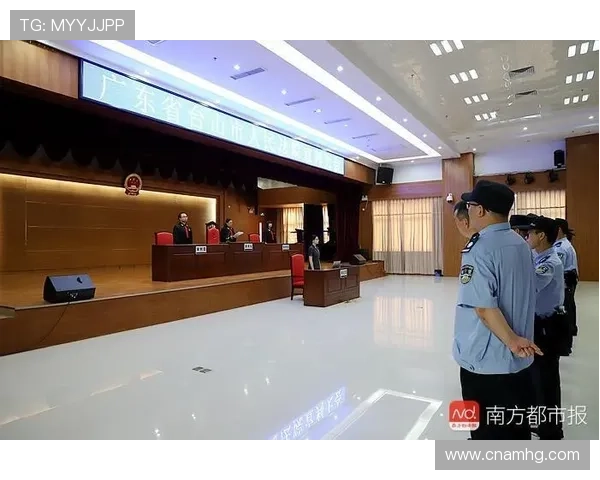 六合彩经网平台的用户评价与实战经验分享，帮助新手快速上手掌握技巧